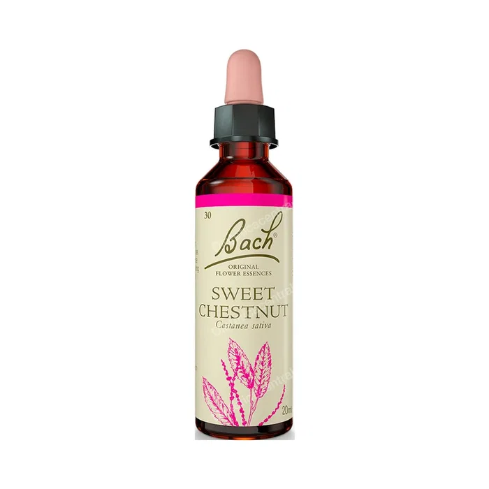Flores Bach Original Sweet Chestnut Castaño Dulc Flores Bach Original Sweet Chestnut Castaño Dulc