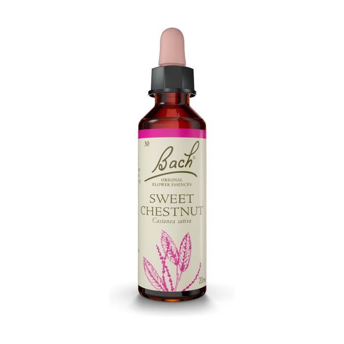 Bach Original Sweet Chestnut Castaño Dulce Nº30 Bach Original Sweet Chestnut Castaño Dulce Nº30
