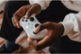 Microsoft Xbox Manette sans fil, design Robot White, surfaces texturées, bouton de partage, connexion rapide appareils
