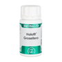 EQUISALUD Holofit Grosellero 60 capsules