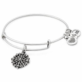 Alex And Ani Bracelet Boussole Gris 20cm