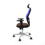 Piqueras y Crespo Chaise de Bureau 2D086G2 Bleu et Brun foncé