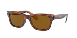 Ray Ban RB2283-954-33-58