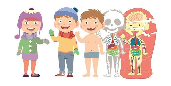 Clementoni - Juego educativo el cuerpo humano - Jeu éducatif pour découvrir la structure et les caractéristiques du corps humain - Multilingue (6 ans et plus) Clementoni - Juego educativo el cuerpo humano - Jeu éducatif pour découvrir la structure et les caractéristiques du corps humain - Multilingue (6 ans et plus)