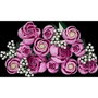 LEGO Botanicals Bouquet de Roses Roses 10374