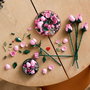 LEGO Botanicals Bouquet de Roses Roses 10374