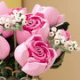 LEGO Botanicals Bouquet de Roses Roses 10374