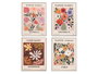 GIFTDECOR Lot de 8 Tableaux Flower Market 30x40cm Cadre Blanc
