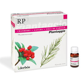 DERBOS PLANTAGGIO RP 20 flacons de 10 ml