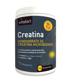 VITALART Créatine Monohydrate de Créatine Micronisée 256 g