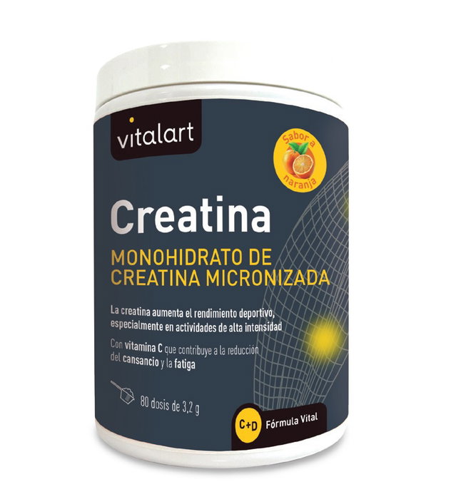 VITALART Créatine Monohydrate de Créatine Micronisée 256 g VITALART Créatine Monohydrate de Créatine Micronisée 256 g