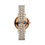 Armani AR1725 Rose et Multicolore