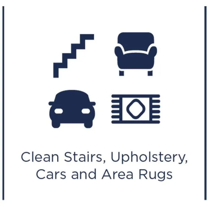 Bissell Spotclean Nettoyant pour Taches et Taches d'Animaux Domestiques 1 Litre