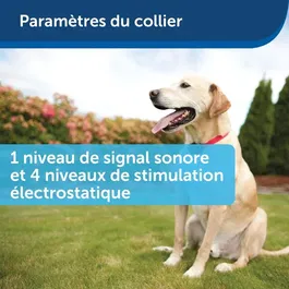Petsafe Collier Anti-Fugue Sans Fil Portatif Imperméable PWF19-10762, Système Sécurisé Zone 27.5 m, Pour Chiens >3.6 kg