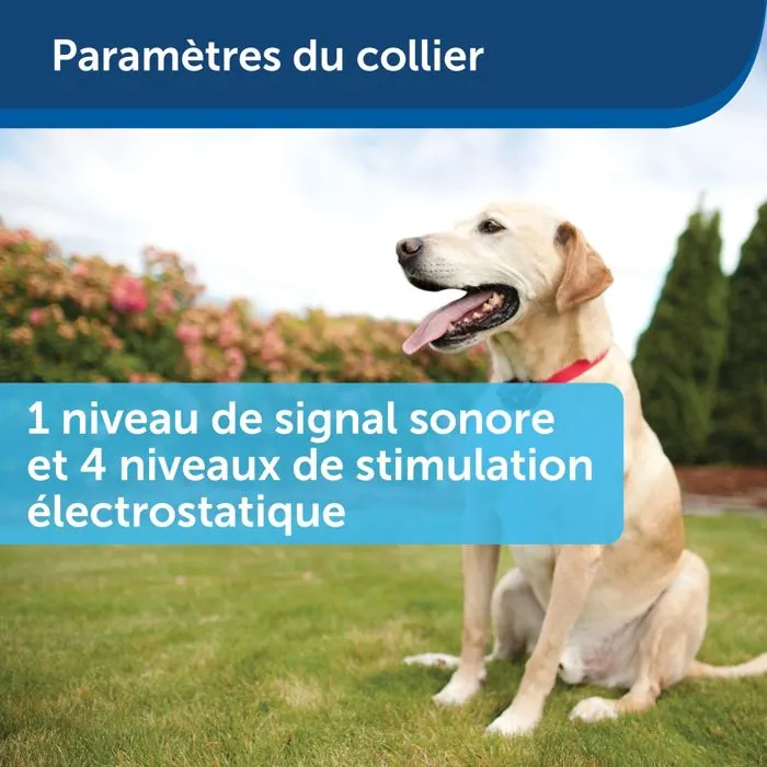 Petsafe Collier Anti-Fugue Sans Fil Portatif Imperméable PWF19-10762, Système Sécurisé Zone 27.5 m, Pour Chiens >3.6 kg Petsafe Collier Anti-Fugue Sans Fil Portatif Imperméable PWF19-10762, Système Sécurisé Zone 27.5 m, Pour Chiens >3.6 kg
