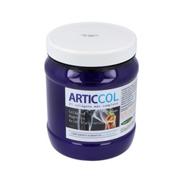 SALUDALKALINA ARTICCOL 300g