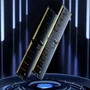 Lexar Barrette Mémoire DDR5 32 Go 5600 MHz CL46 U-DIMM 262-pin