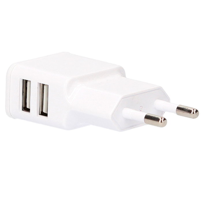 GSC Evolution Chargeur 230V à 2 USB GSC Evolution Chargeur 230V à 2 USB