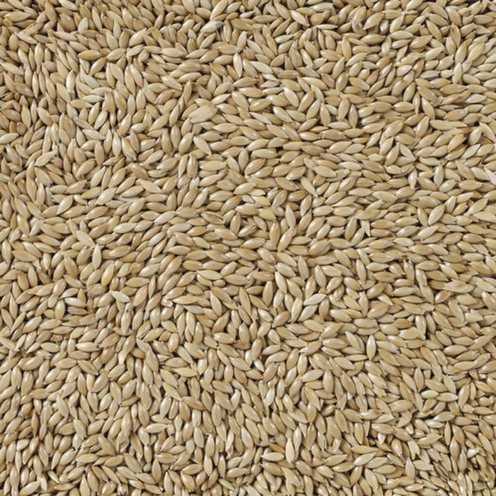 Nourriture pour oiseaux Deli Nature Premium 5 kg