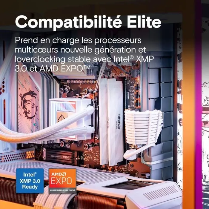 Crucial CP16G64C32U5W Mémoire DDR5 16 Go 6400 MHz CL32 UDIMM avec dissipateur thermique blanc - Gamer Pro OC - Compatible Intel Ultra et AMD Ryzen 9000 Crucial CP16G64C32U5W Mémoire DDR5 16 Go 6400 MHz CL32 UDIMM avec dissipateur thermique blanc - Gamer Pro OC - Compatible Intel Ultra et AMD Ryzen 9000