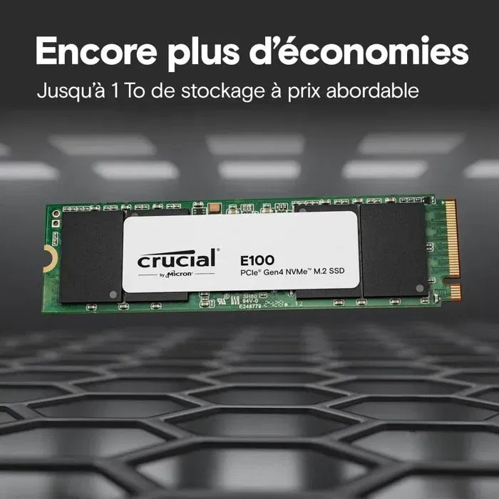 Crucial E100 SSD 480 Go NVMe PCIe Gen4 2280 - Vitesse de lecture jusqu'à 5000 Mo/s - Mise à niveau de stockage PC