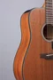 Takamine GD11MCE-NS