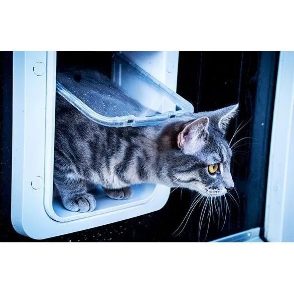 Sureflap Grande chatière électronique à puce pour chat et petit chien - Blanc - 178 mm x 170 mm - Mémoire 32 puces