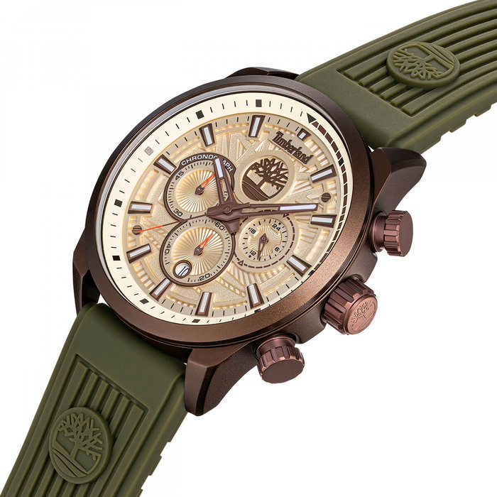 Montre Homme Timberland TDWGQ00949X1