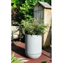 RIVIERA - Pot de fleurs cylindrique Tulipe - Granit Stone - 28 L - Diamètre 40 cm, Hauteur 57 cm - Polypropylène