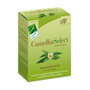 100% Natural CamelliaSelect 60 capsules