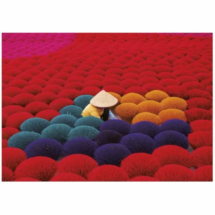EDUCA Puzzle Village d'Encens Vietnam 1000 Pièces Paysage Nature, à Partir de 12 Ans, Assemblé 68 x 48 cm