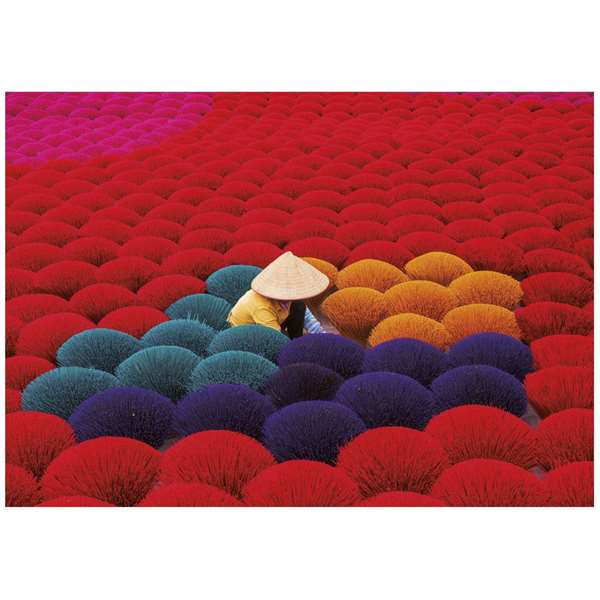 Educa Puzzle 1000 Pièces Vietnam - Village de l'Encens (Aldea Del Incienso) avec Colle spéciale FIX PUZZLE®, en Carton