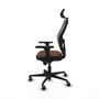 Piqueras y Crespo 3D036G2 Gris Brun foncé