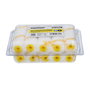 WOLFPACK LINEA PROFESIONAL Recharge de rouleau pour émail acrylique 100 mm