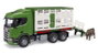 Bruder Camion Scania Super 560R Vert avec transport de bétail et bœuf