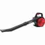 Scheppach LBH2600P Aspirateur souffleur broyeur thermique 25,4 cc