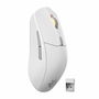 Souris SteelSeries 62524 Blanc