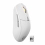 Souris SteelSeries 62524 Blanc