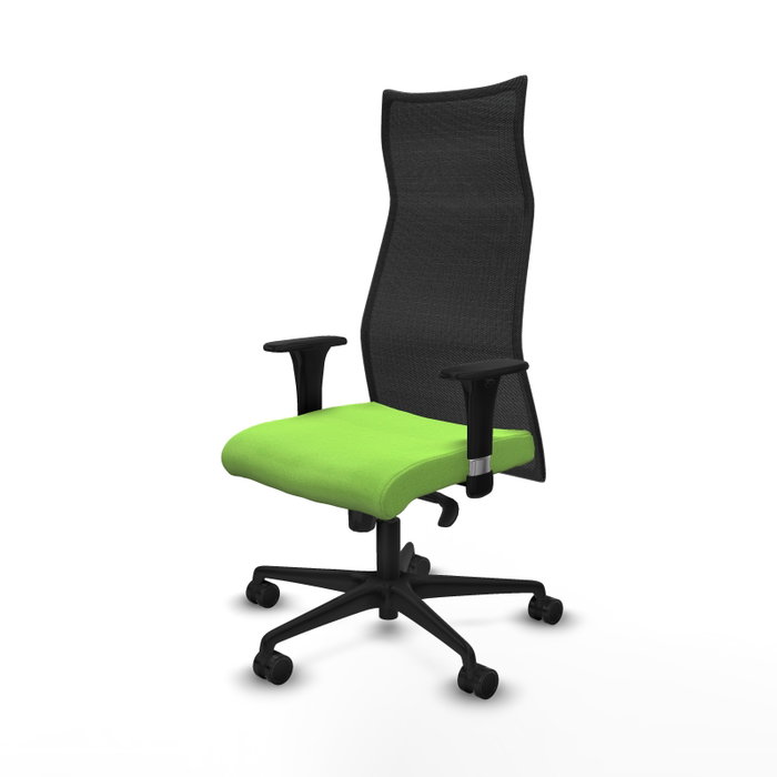 Piqueras y Crespo Chaise de Bureau Albacete XL Pistache et Noir Piqueras y Crespo Chaise de Bureau Albacete XL Pistache et Noir