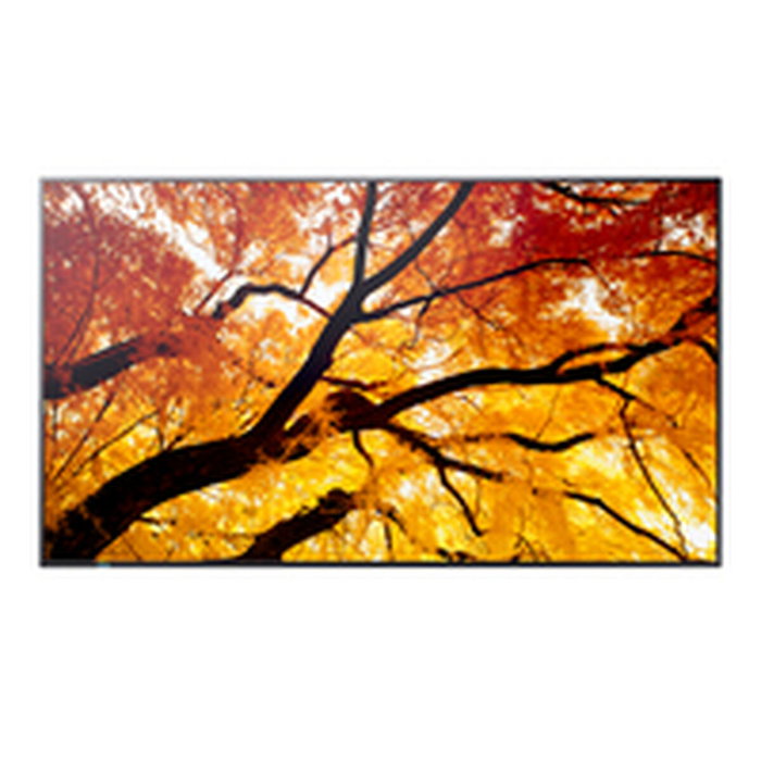Moniteur Videowall Sharp 60006053 4K Ultra HD 42,5"