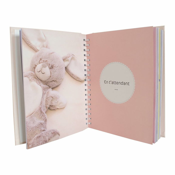 Domiva Livre de naissance Mes 5 premières années - Sauge Gold Domiva Livre de naissance Mes 5 premières années - Sauge Gold