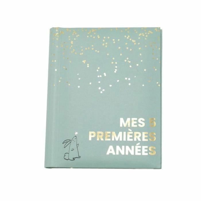 Domiva Livre de naissance Mes 5 premières années - Sauge Gold Domiva Livre de naissance Mes 5 premières années - Sauge Gold