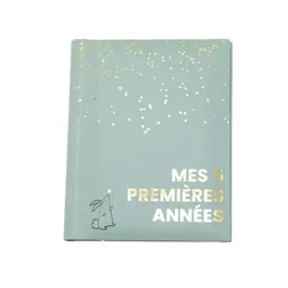 Domiva - Livre de naissance souvenir Mes Cinq Premières Années - 100 pages illustrées avec emplacements photos et enveloppes - Sauge Gold