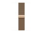 Apple Smartwatch S11 GPS + Cellular 42 mm Titanium Gold Milanese Loop