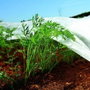 Biotop Toile de protection pour cultures - Rouleau 2 x 20 m, 17g/m²