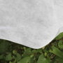 Biotop Toile de protection pour cultures - Rouleau 2 x 20 m, 17g/m²