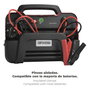 WOLFPACK LINEA PROFESIONAL Chargeur et démarreur de batterie 12/24V 10-100Ah