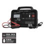 WOLFPACK LINEA PROFESIONAL Chargeur et démarreur de batterie 12/24V 10-100Ah