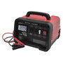 WOLFPACK LINEA PROFESIONAL Chargeur et démarreur de batterie 12/24V 10-100Ah