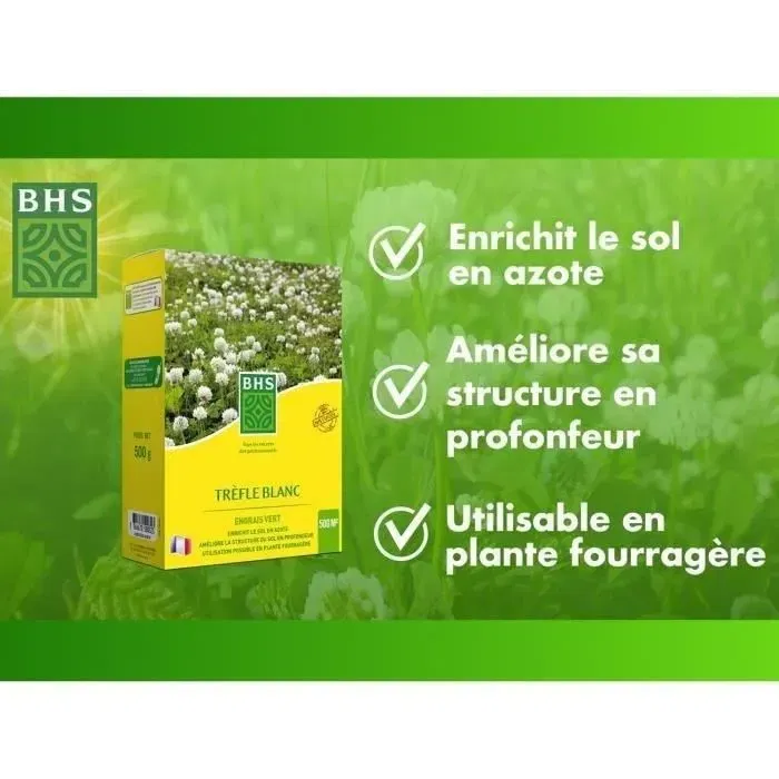 BHS Graines de Trèfle Blanc - 500 m², Favorise la Biodiversité, Enrichit le Sol, Résistant au Piétinement et aux Divers Types de Sol